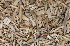 biomass boilers Bladbean