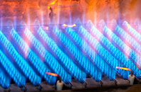 Bladbean gas fired boilers