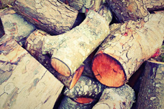 Bladbean wood burning boiler costs